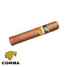 charuto autêntico cohiba robustos - charutos bh